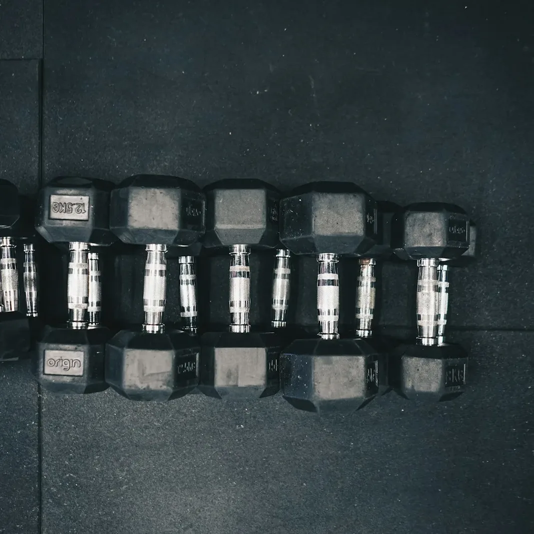 Demo Adjustable Dumbbell Set
